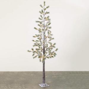 imageSullivans 8 Lit Snowy Pruned Pine Tree Christmas Dcor Trees Holiday Decor Christmas Tabletop Trees Mantle Decor Christmas Decorations
