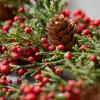 imageSullivans 5Foot Cedar ampamp Red Berry Christmas Garland Artificial Greenery Seasonal Holiday Decor Perfect for Weddings Fireplace Mantels Dining and Living Room