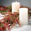 imageSullivans 5Foot Cedar ampamp Red Berry Christmas Garland Artificial Greenery Seasonal Holiday Decor Perfect for Weddings Fireplace Mantels Dining and Living Room