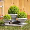 imageSullivans 7quot 9quot ampamp 115quot Potted Round Boxwood Set of 3 Everyday Home Decor Artificial Plants Indoor Artificial Greenery Room Kitchen Office ampamp Bathroom Dcor Fake Plants