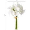 imageSullivans Artificial Calla Lily Bouquet Stem 15quot H White Everyday Home Decor Artificial Plants Indoor Artificial Greenery Room Kitchen Office ampamp Bathroom Dcor Fake Plants