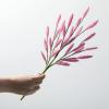 imageSullivans Fake Plants Bunny Tail Grass Stems for Indoor 165quot Artificial Hot Pink Bunnytail Greenery Spray Leaf Stem for Pot Vase Arrangement in Living Room Home Office Dcor Shelf Decorations