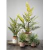 imageSullivans Faux Potted Fern Indoor Artificial Greenery Dcor