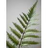 imageSullivans Faux Potted Fern Indoor Artificial Greenery Dcor