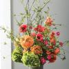imageSullivans Leafy Foliage Spray 50Inch Green Stem Branch Greenery Stems Artificial Fake Flower Lifelike Centerpiece for Home Office Weddings and Gifts Decor