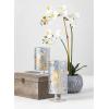 imageSullivans Potted OrchidFaux Plants Potted Greenery Home Dcor Accent Pieces