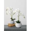 imageSullivans Potted OrchidFaux Plants Potted Greenery Home Dcor Accent Pieces