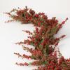 imageSullivans 5Foot Cedar ampamp Red Berry Christmas Garland Artificial Greenery Seasonal Holiday Decor Perfect for Weddings Fireplace Mantels Dining and Living Room