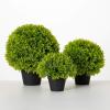 imageSullivans 7quot 9quot ampamp 115quot Potted Round Boxwood Set of 3 Everyday Home Decor Artificial Plants Indoor Artificial Greenery Room Kitchen Office ampamp Bathroom Dcor Fake Plants