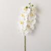 imageSullivans Fake Flowers Orchid Flower Artificial White Phalaenopsis Spray Stem for Indoor 35quot LifeLike Fake Plants for Arrangement or Vase in Living Room Home ampamp Office Dcor Shelf Mantle Decorations