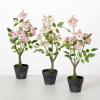 imageSullivans Fake Flowers Potted Rose Artificial Flower Bundle Set of 3 for Indoor 665quot Mini Pink ampamp White Rose Bush Faux LifeLike Plants Perfect in Living Room Home ampamp Office Dcor Shelf Decorations