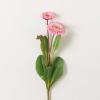 imageSullivans Fake Flowers Primrose Flower Artificial Bright Pink Primrose Spray Stem for Indoor 17quot Faux LifeLike Greenery for Pot or Vase in Living Room Home ampamp Office Dcor Shelf ampamp Mantle Decorations