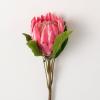 imageSullivans Fake Flowers Protea Flower Artificial Pink Protea Bloom Spray Stem for Indoor 245quot LifeLike Fake Plants for Arrangement or Vase in Living Room Home ampamp Office Dcor Shelf Mantle Decorations