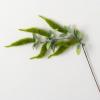 imageSullivans Fake Plants Amaranthus Stems for Indoor 39quot Artificial Green Amaranthus Spray with Green Leaf Greenery Stem for Vase Arrangement Living Room Home Office Dcor Shelf Decorations