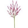 imageSullivans Fake Plants Bunny Tail Grass Stems for Indoor 165quot Artificial Hot Pink Bunnytail Greenery Spray Leaf Stem for Pot Vase Arrangement in Living Room Home Office Dcor Shelf Decorations