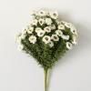imageSullivans Fake Plants Daisy Artificial White Flower Stem for Indoor 16quot Faux LifeLike Greenery Plant Perfect for Any Pot or Vase in Living Room Home ampamp Office Dcor Shelf ampamp Mantle Decorations