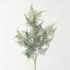 imageSullivans Fake Plants Long Plumosa Fern Artificial Greenery Stem for Indoor 40quot Plumosa Fern Spray Green Stems Perfect for Vase or Arrangement in Living Room Home and Office Dcor