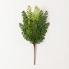 imageSullivans Fake Plants Maidenhair Artificial Green Stem for Indoor 185quot Faux LifeLike Greenery Plant Perfect for Any Pot or Vase in Living Room Home ampamp Office Dcor Shelf ampamp Mantle Decorations