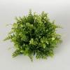 imageSullivans Fake Plants Mixed Fern Orb for Indoor 6quot Artificial Green Lush Fern Mixed Greenery Dense LifeLike Orb for Pot or Vase in Living Room Home ampamp Office Dcor Table Mantel Shelf Decorations
