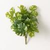 imageSullivans Fake Plants Monstera Artificial Green Stem for Indoor 115quot Faux LifeLike Greenery Plant Perfect for a Pot or Vase in Living Room Home ampamp Office Dcor Shelf ampamp Mantle Decorations