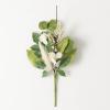 imageSullivans Fake Plants Silver Dollar Stems for Indoor 18quot Artificial Mixed Silver Dollar Green ampamp White Pick Leaf for Vase or Arrangement in Living Room Home and Office Dcor Shelf Decorations
