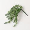 imageSullivans Fake Plants String of Pearls Stems Indoor 155quot Artificial Succulent Green String of Pearls Pick Faux LifeLike for Vase Arrangement Living Room Home ampamp Office Dcor Shelf Decorations