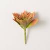 imageSullivans Fake Plants Tri Color Succulent Stem Indoor 8quot Artificial Succulent Orange Green SucculentPick Faux LifeLike for Vase Arrangement Living Room Home ampamp Office Dcor Shelf Decorations