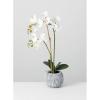 imageSullivans Potted OrchidFaux Plants Potted Greenery Home Dcor Accent Pieces