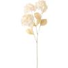imageSullivans White Hydrangea Stem 29Inch Artificial Fake Flower Lifelike Centerpiece for Home Office Weddings and Gifts Decor