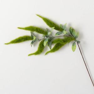 imageSullivans Fake Plants Amaranthus Stems for Indoor 39quot Artificial Green Amaranthus Spray with Green Leaf Greenery Stem for Vase Arrangement Living Room Home Office Dcor Shelf Decorations
