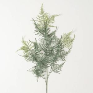 imageSullivans Fake Plants Long Plumosa Fern Artificial Greenery Stem for Indoor 40quot Plumosa Fern Spray Green Stems Perfect for Vase or Arrangement in Living Room Home and Office Dcor