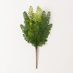 imageSullivans Fake Plants Maidenhair Artificial Green Stem for Indoor 185quot Faux LifeLike Greenery Plant Perfect for Any Pot or Vase in Living Room Home ampamp Office Dcor Shelf ampamp Mantle Decorations