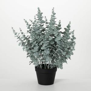 imageSullivans Fake Plants Potted Eucalyptus Artificial Plant for Indoor 24quot Lush Silver Gray Green Eucalyptus Stems Faux LifeLike Plant in Black Pot Perfect for Living Room Home and Office Dcor
