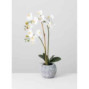 imageSullivans Potted OrchidFaux Plants Potted Greenery Home Dcor Accent Pieces