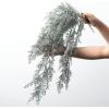 imageSullivans 10quot White Bubble Cedar Swag Christmas Decor Artificial Greenery Perfect for Fireplace Mantels Dining and Living Rooms