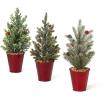imageSullivans 12quot Potted Pine Artificial Tree Set of 3 Christmas Dcor Trees Holiday Decor Christmas Tabletop Trees Mantle Decor Christmas Decorations
