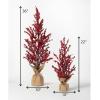 imageSullivans 22quot ampamp 36quot Berry Tree Set of 2 Everyday Artificial Trees Fake Indoor Tree Artificial Greenery Decor Living Room Office Entryway Home Decor