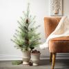 imageSullivans 3 Foot Black Hills Green Pine Tree Christmas Dcor Trees Holiday Decor Christmas Tabletop Trees Mantle Decor Christmas Decorations
