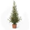 imageSullivans 4 Foot Green Pine Tree Christmas Dcor Trees Holiday Decor Christmas Tabletop Trees Mantle Decor Christmas Decorations