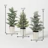 imageSullivans Green Potted Pine Artificial Tree Set of 3 12quot H 115quot H ampamp 12quot H Christmas Dcor Trees Holiday Decor Christmas Tabletop Trees Mantle Decor Christmas Decorations