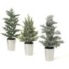 imageSullivans Green Potted Pine Artificial Tree Set of 3 12quot H 115quot H ampamp 12quot H Christmas Dcor Trees Holiday Decor Christmas Tabletop Trees Mantle Decor Christmas Decorations