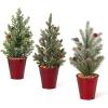 imageSullivans 12quot Potted Pine Artificial Tree Set of 3 Christmas Dcor Trees Holiday Decor Christmas Tabletop Trees Mantle Decor Christmas Decorations