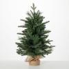 imageSullivans 24quot Small Mixed Pine Burlap Tree Christmas Dcor Trees Holiday Decor Christmas Tabletop Trees Mantle Decor Christmas Decorations