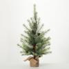imageSullivans 3 Foot Black Hills Green Pine Tree Christmas Dcor Trees Holiday Decor Christmas Tabletop Trees Mantle Decor Christmas Decorations