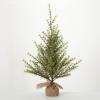 imageSullivans 37quot Chartreuse Pine Tree Christmas Dcor Trees Holiday Decor Christmas Tabletop Trees Mantle Decor Christmas Decorations