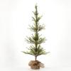 imageSullivans 4 Foot Chartreuse Pine Tree Christmas Dcor Trees Holiday Decor Christmas Tabletop Trees Mantle Decor Christmas Decorations