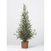 imageSullivans 4 Foot Green Pine Tree Christmas Dcor Trees Holiday Decor Christmas Tabletop Trees Mantle Decor Christmas Decorations