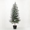 imageSullivans 4 Foot Potted Snowy Pine Christmas Tree Christmas Dcor Trees Holiday Decor Christmas Tabletop Trees Mantle Decor Christmas Decorations
