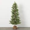 imageSullivans 5 Foot Emerald Pine Tree in Burlap Base Christmas Dcor Trees Holiday Decor Christmas Tabletop Trees Mantle Decor Christmas Decorations