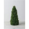 imageSullivans Cedar Tree Christmas Dcor Trees Holiday Decor Christmas Tabletop Trees Mantle Decor Christmas Decorations